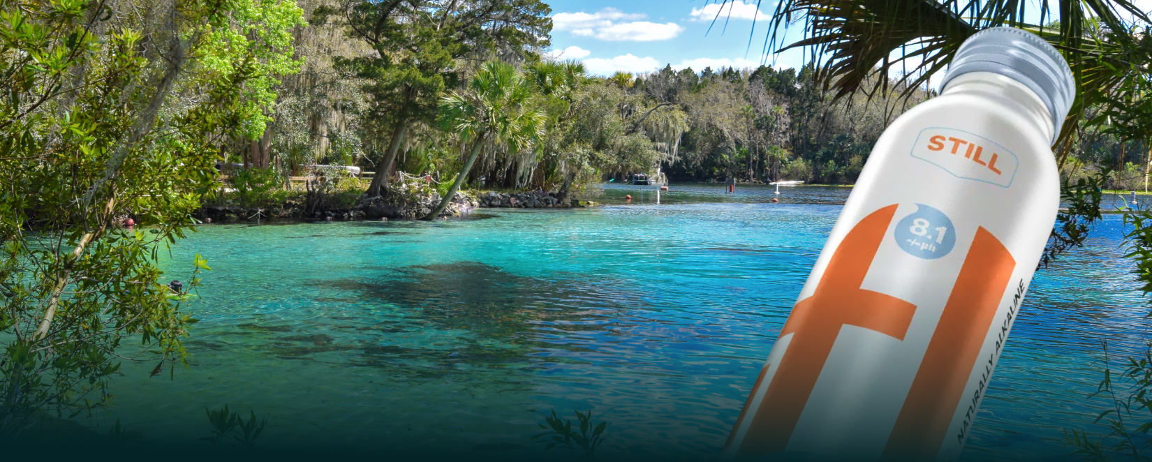 crystal clear Florida spring water naturally filtered and mineral rich