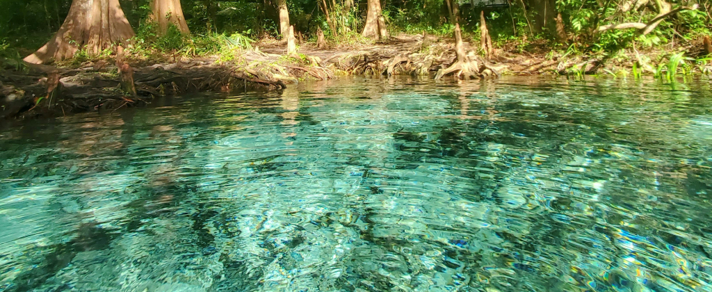 Hydration for Life in the Sunshine State: Why Floridians Choose Natural Spring Water