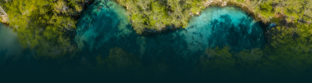 Florida limestone aquifer naturally filtering mineral-rich spring water